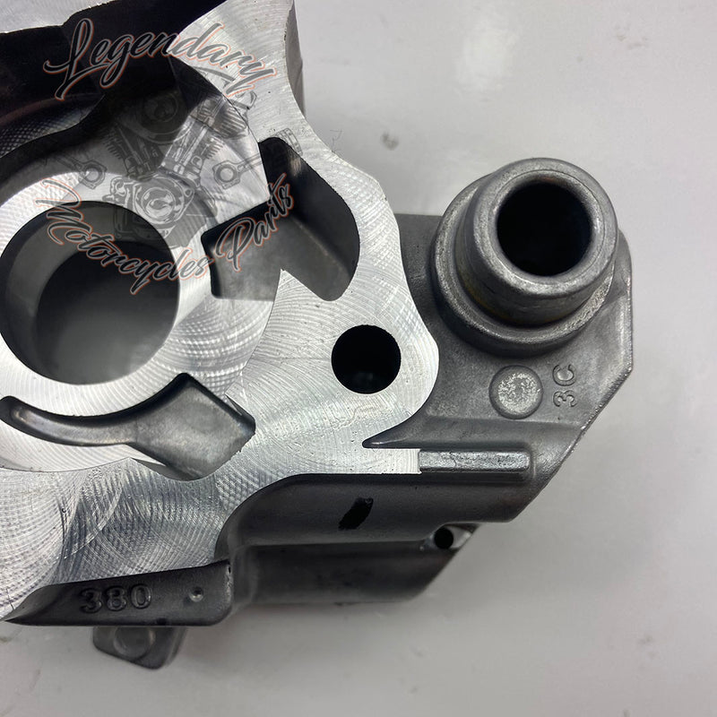 Oil pump OEM 62400176 (62400178 / 62400247)