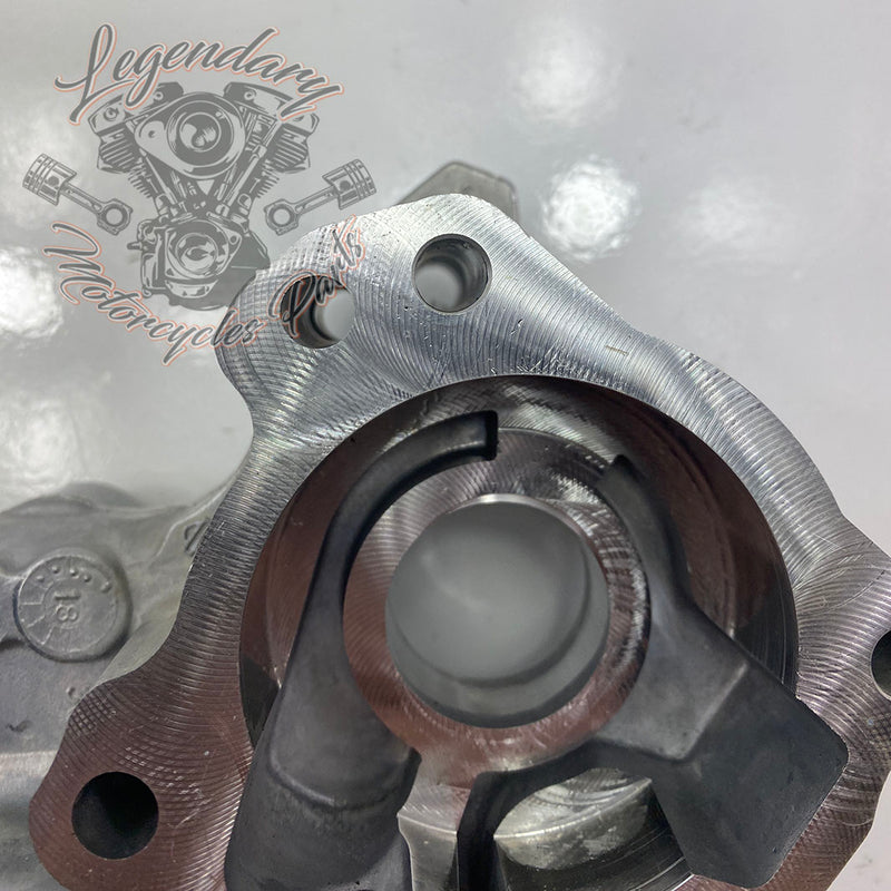 Oil pump OEM 62400176 (62400178 / 62400247)