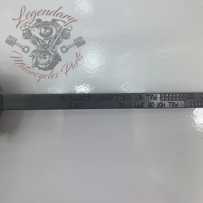 Oil Dipstick OEM 62700136