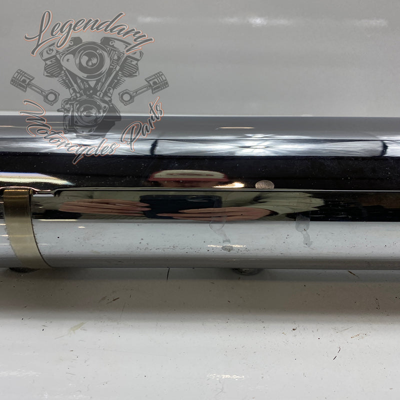 Silencer OEM 64900121