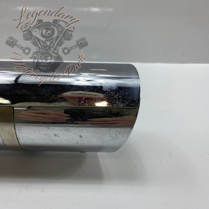 Silencer OEM 64900121