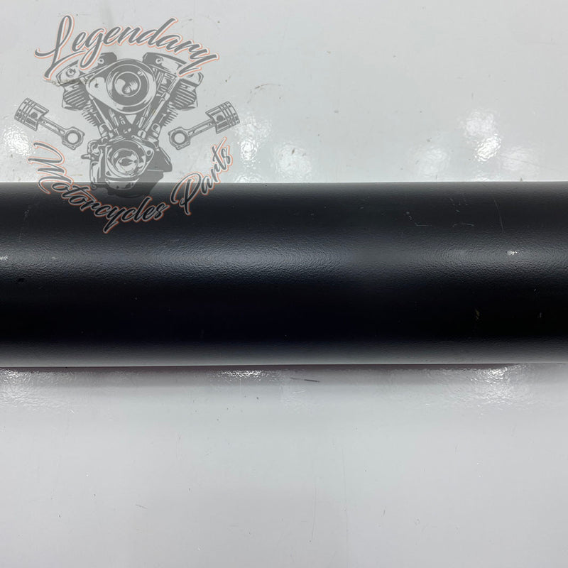 Silenziatore OEM 64900291