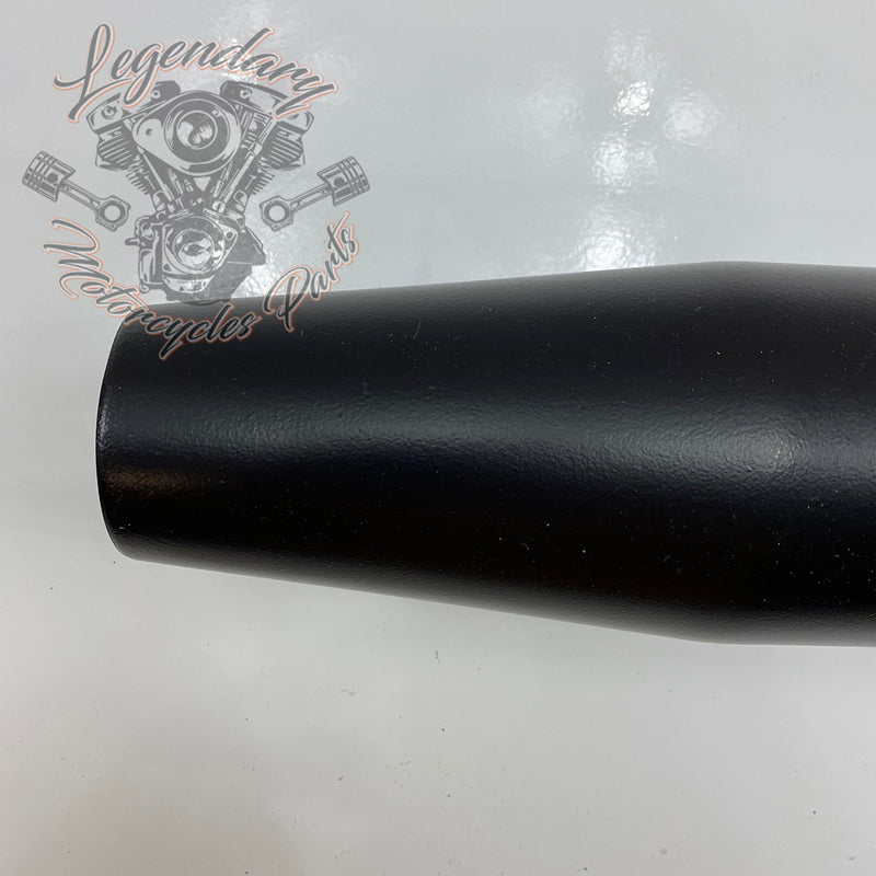 Scarico OEM 64900291