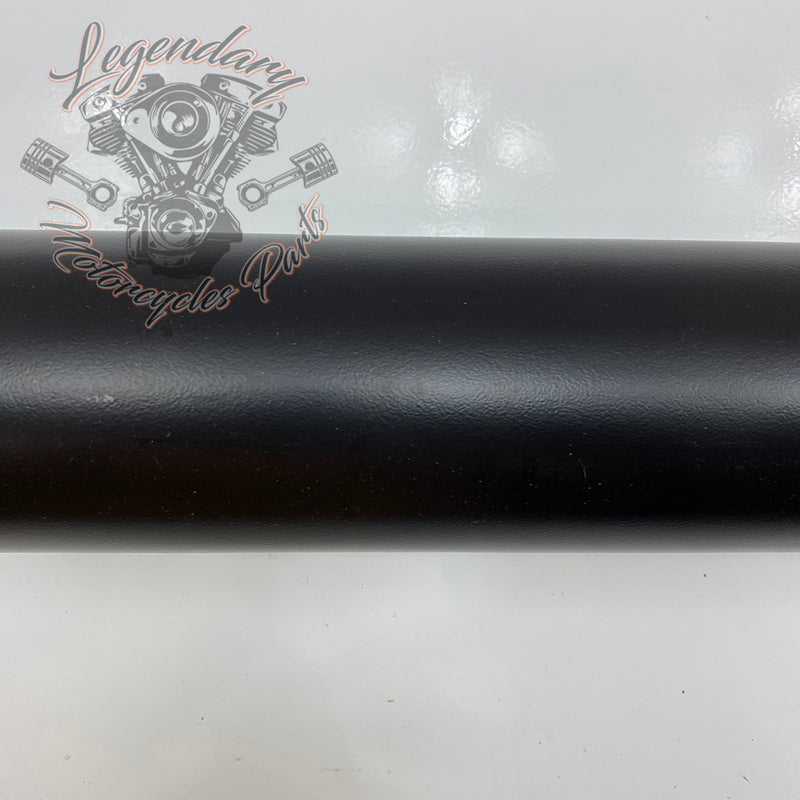 Scarico OEM 64900291