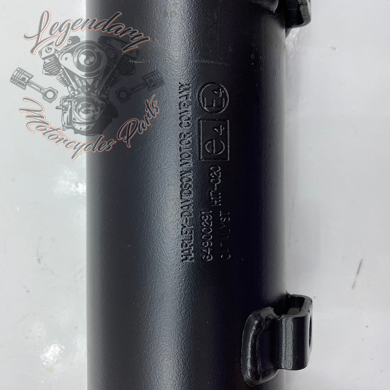 Silenziatore OEM 64900291