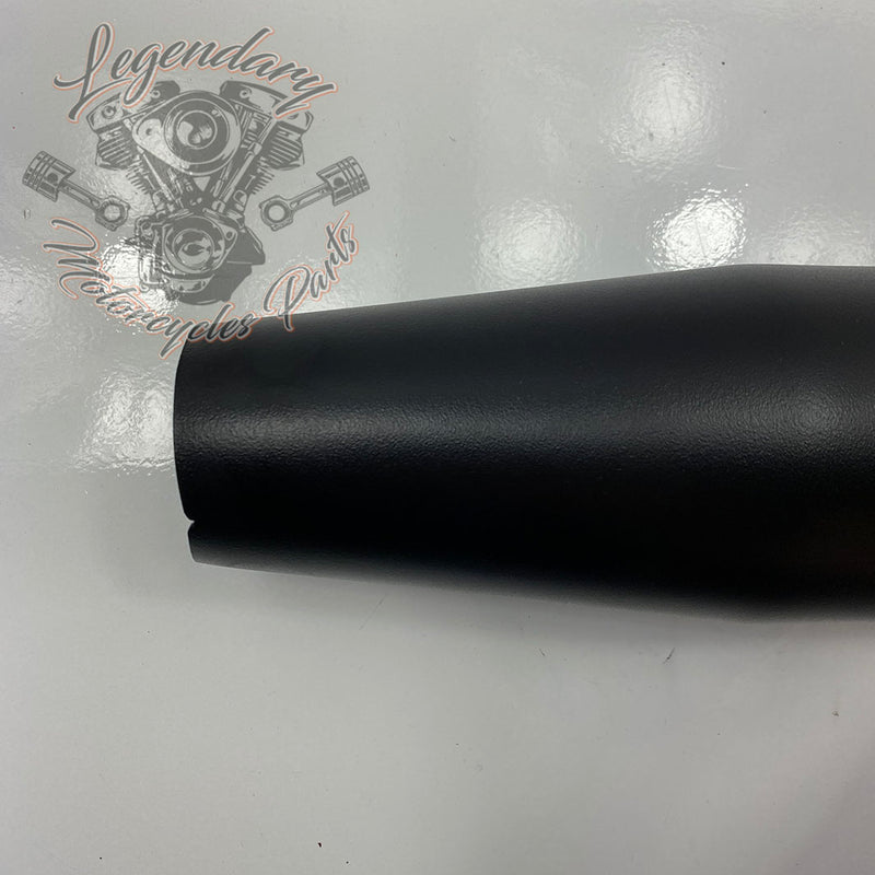 Silencieux OEM 64900423