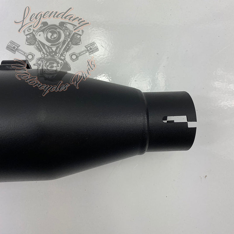 Silencieux OEM 64900423