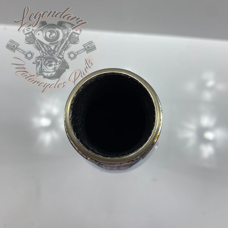 Scarico OEM 64900460