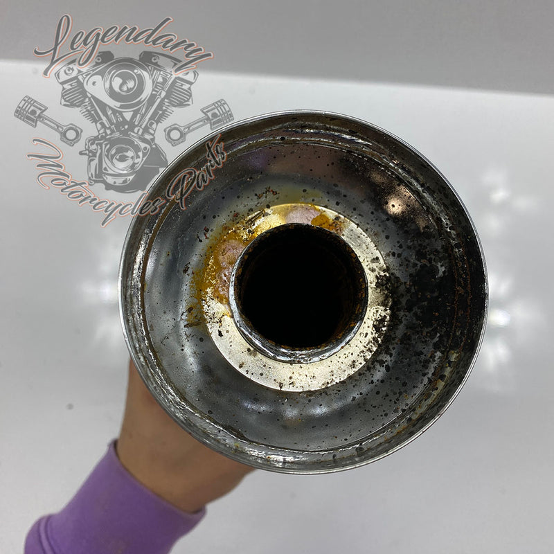 Scarico OEM 64900460