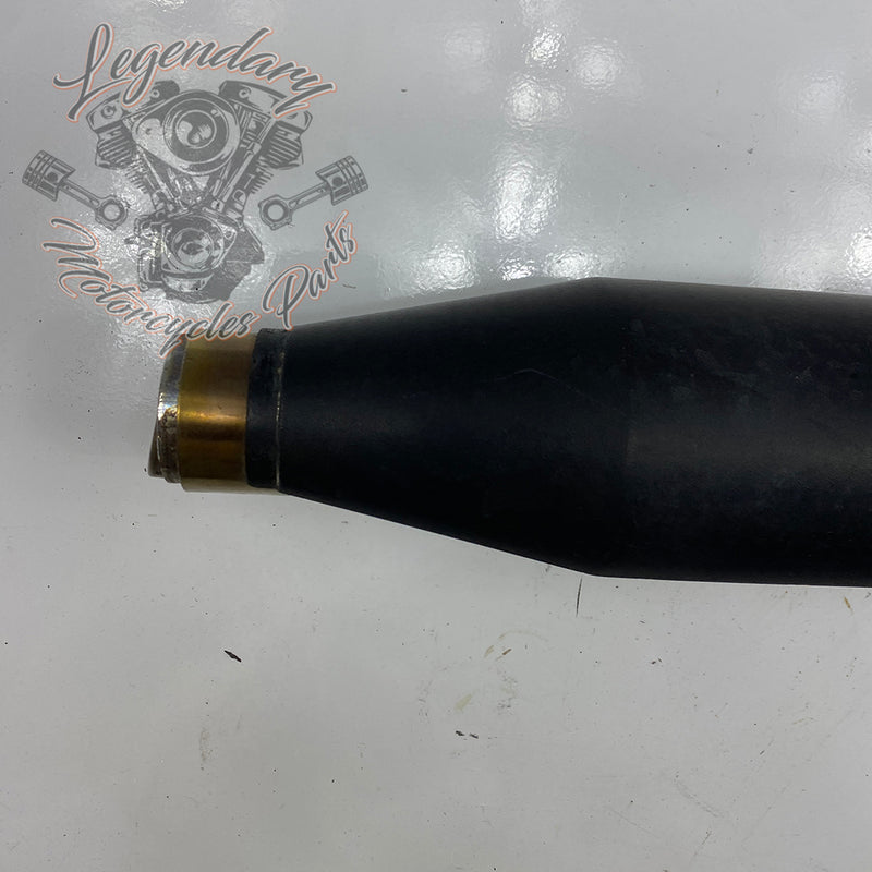 Silencer OEM 64900460