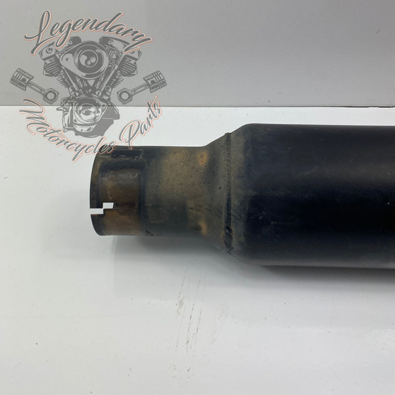 Silenziatore OEM 64900630