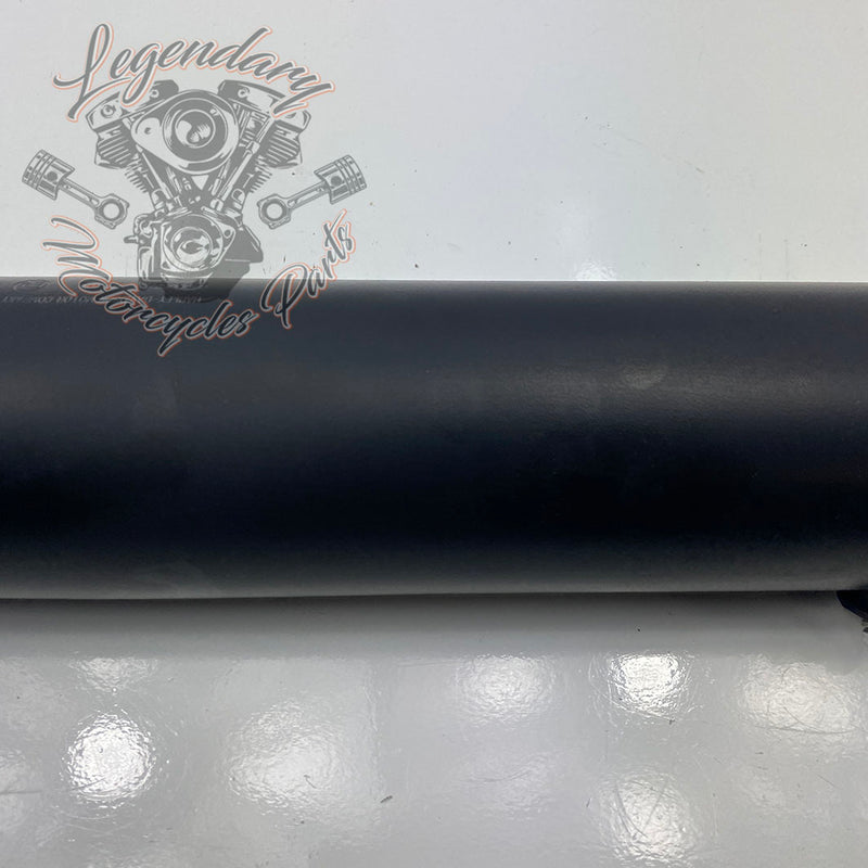 Silenziatore OEM 64900630