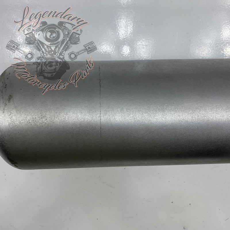 Silencer OEM 64900720