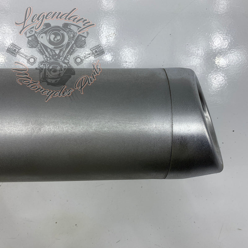 Silencer OEM 64900720