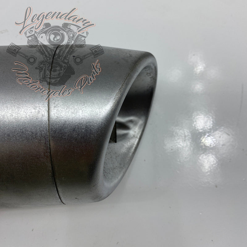 Silencieux OEM 64900720