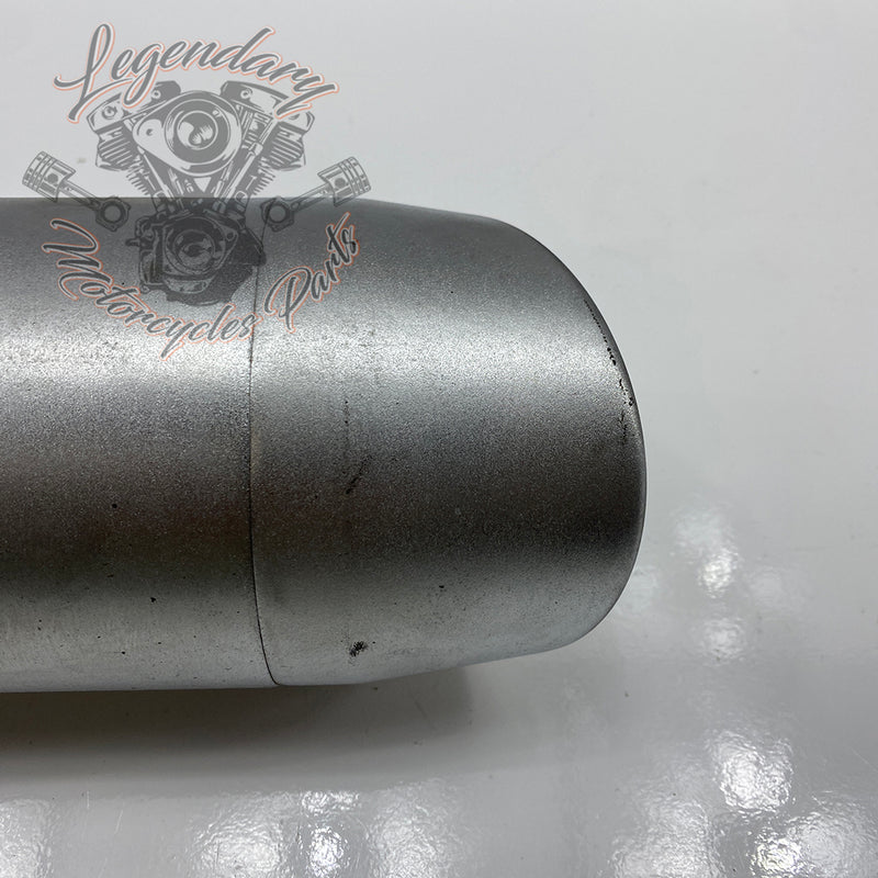 Silencieux OEM 64900720