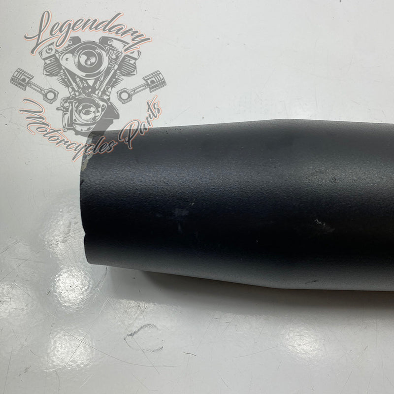 Silenziatore OEM 64901266