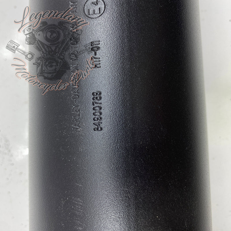 Silencer OEM 64900770