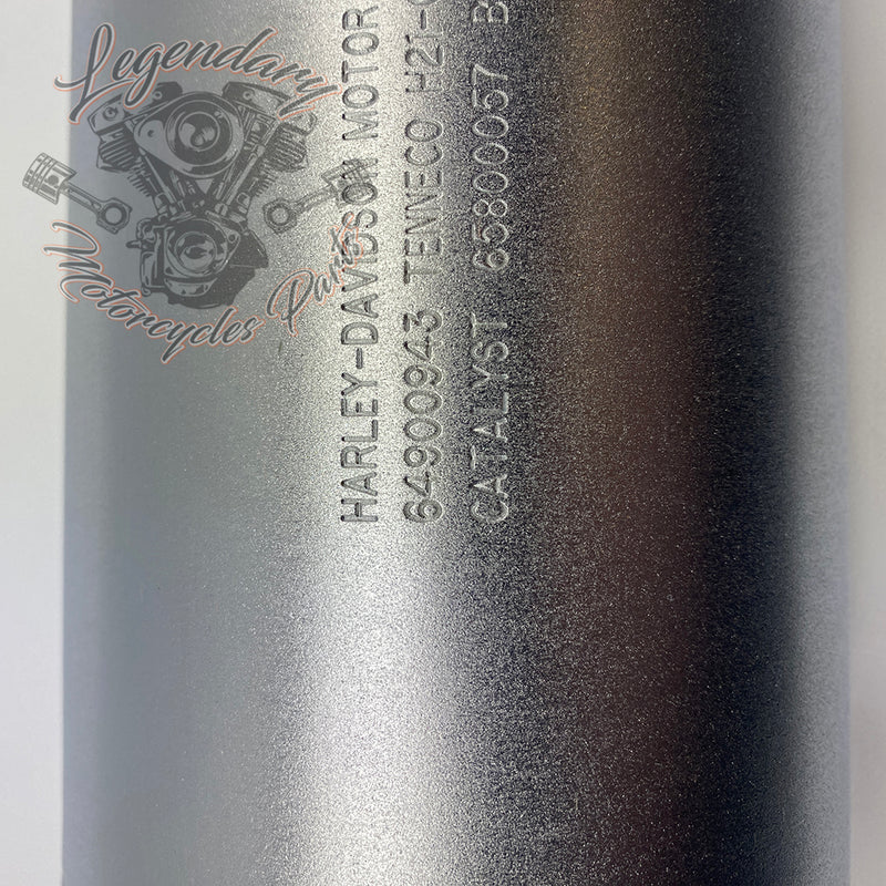 Silencer OEM 64900943