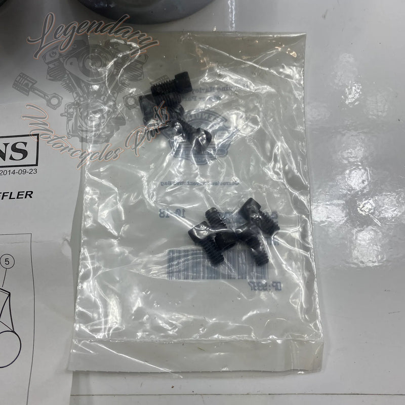 Embouts de silencieux 4 OEM 65100019