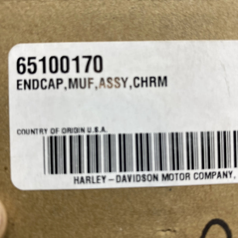 Exhaust Tip OEM 65100170