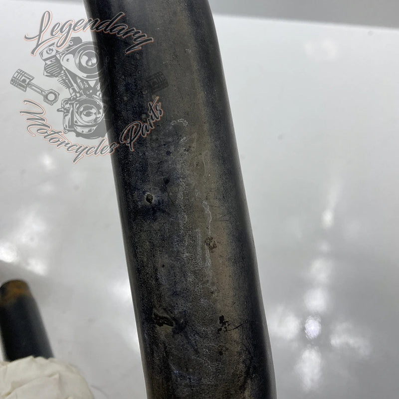 Collettore OEM 65575-00