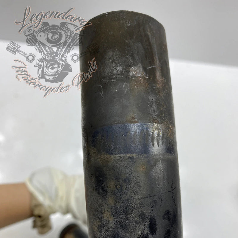 Collettore OEM 65575-00