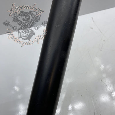 Collettore OEM 65575-00