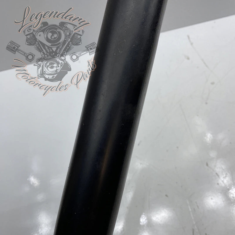 Collettore OEM 65575-00