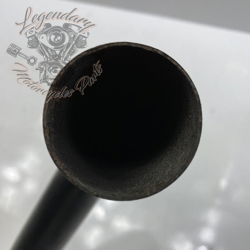 Collettore OEM 65575-00