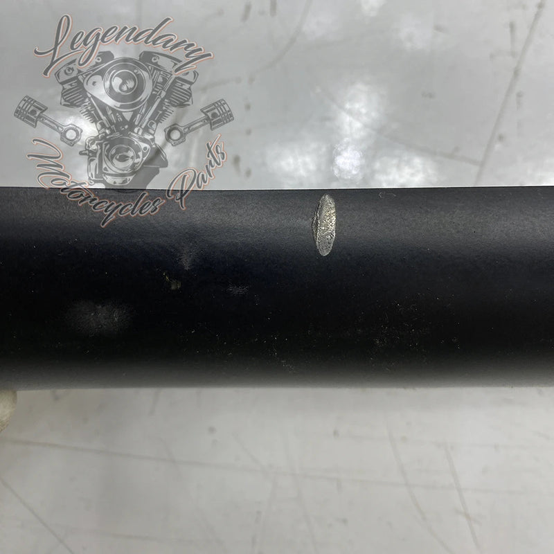 Collettore OEM 65575-00