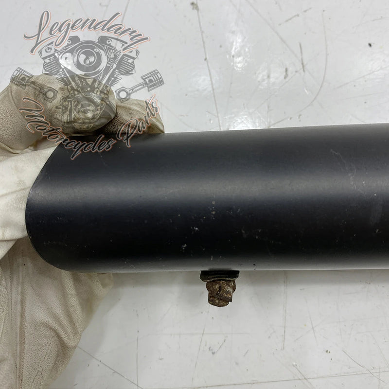 Collettore OEM 65575-00