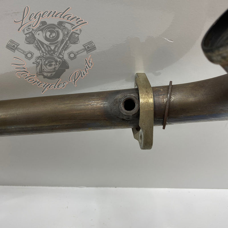 Collettore OEM 65800002 ( 65600219 )