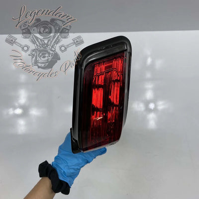 Tour Pak Tail Light OEM 67800101