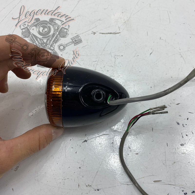 3in1-Blinker hinten OEM 67800214