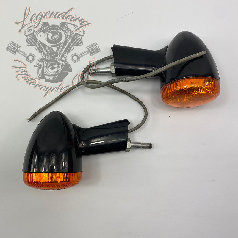 Soportes y luces intermitentes traseras 3en1 OEM 67800214