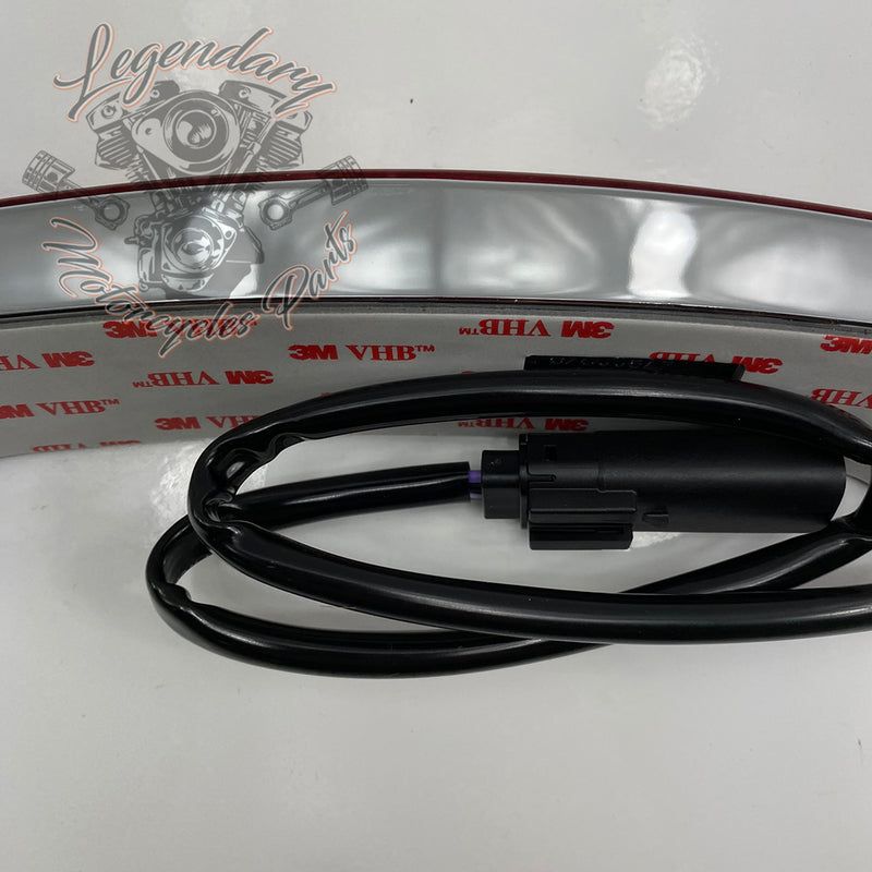 Saddlebag Lights OEM 67800241