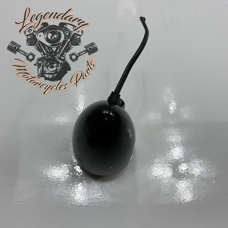 Indicatore di direzione anteriore OEM 67800523