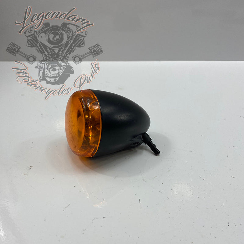 OEM 67800525 Blinker vorne