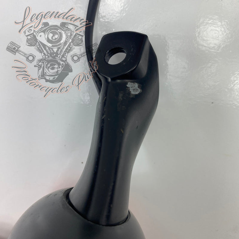 Indicatori di direzione anteriori OEM 67800563
