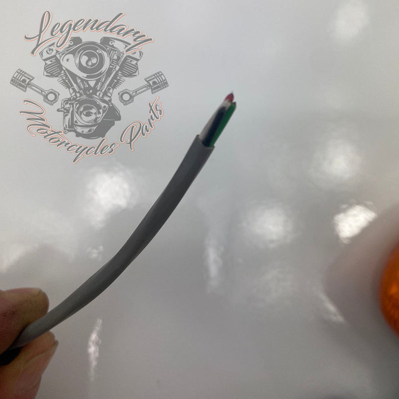 Achterstandaard en knipperlicht OEM 67800646