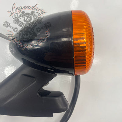 Achterstandaard en knipperlicht OEM 67800646