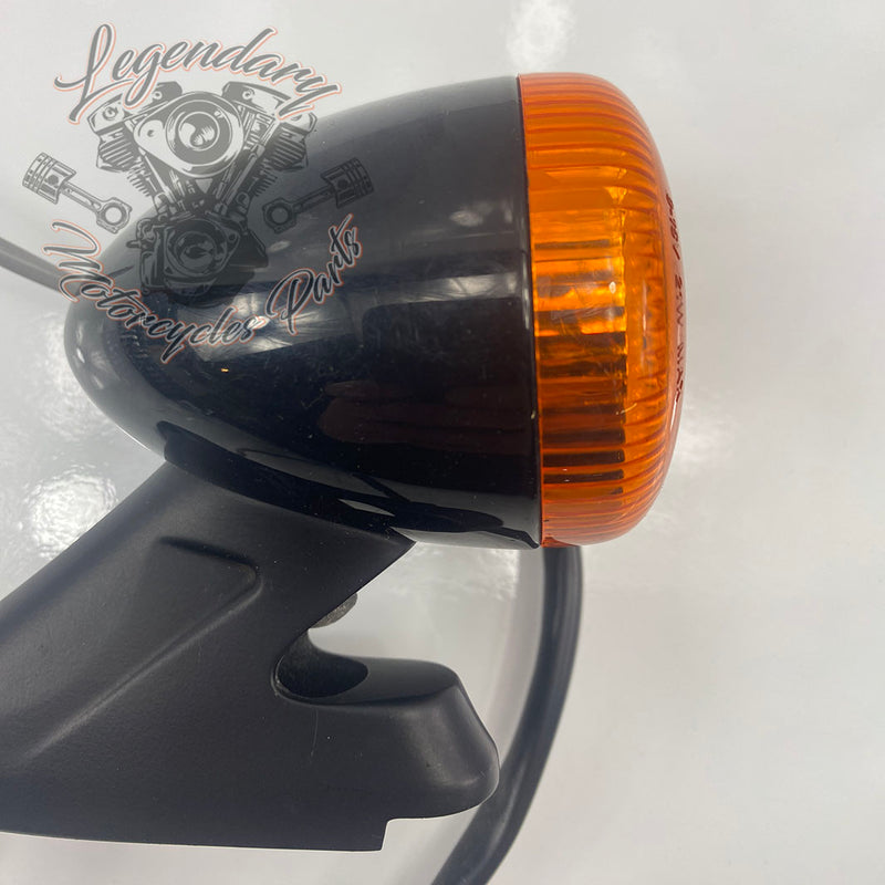 Achterstandaard en knipperlicht OEM 67800646