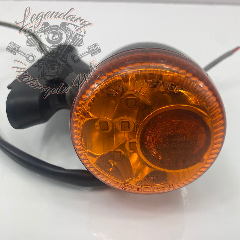 Achterstandaard en knipperlicht OEM 67800646