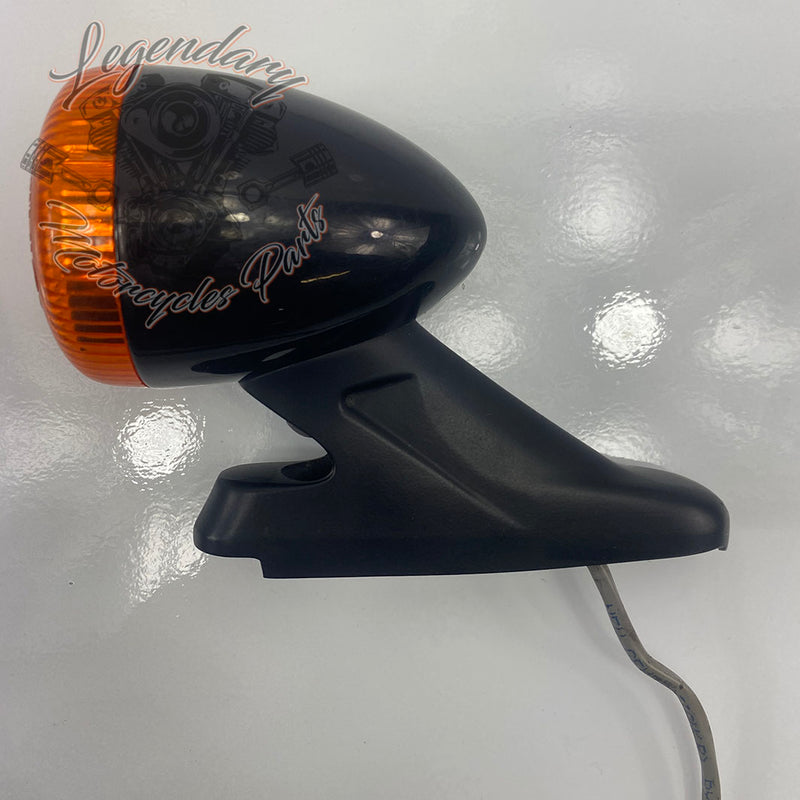 Achterstandaard en knipperlicht OEM 67800646