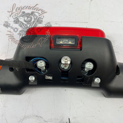 Luzes traseiras OEM 67800955