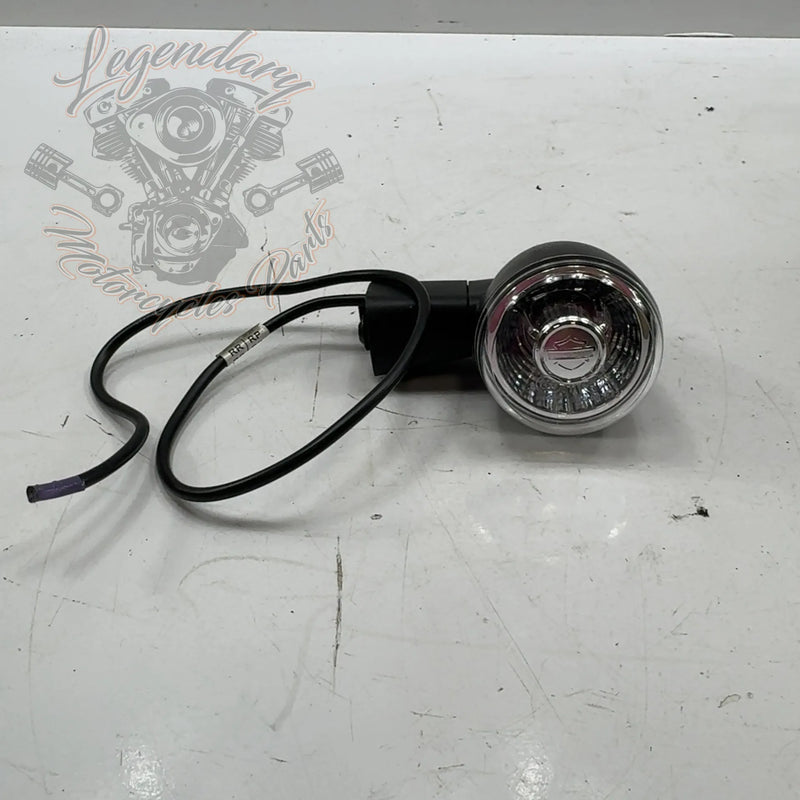 Right Rear Turn Signal OEM 67801187