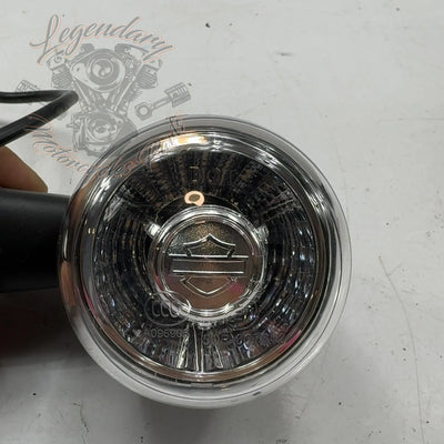 Right Rear Turn Signal OEM 67801187