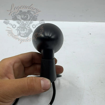 Right Rear Turn Signal OEM 67801187