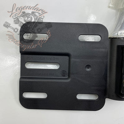 Side mount license plate bracket OEM 67900122